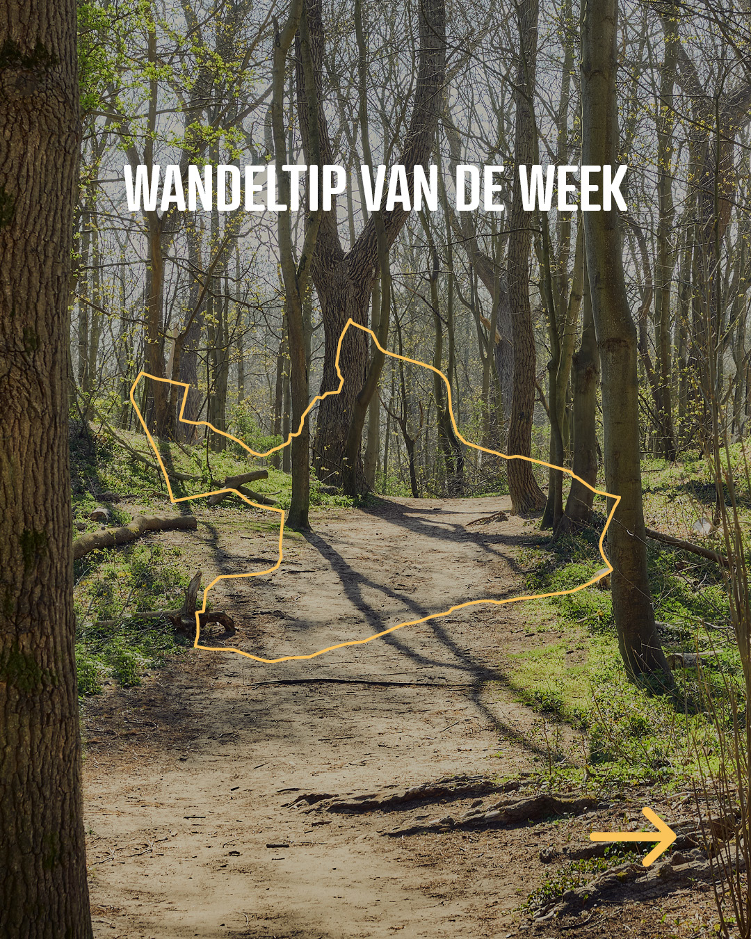 🎉 Alle wandelroutes in De Panne vind je nu handig gebundeld op één pagina!

Filter, kies en stap eropuit. De perfecte wandeling vinden was nog nooit zo makkelijk. 🥾

Elke vrijdag zetten we één route in de kijker. We starten met de Oosthoekwandelroute, waar je van duin naar polder wandelt. 🌿