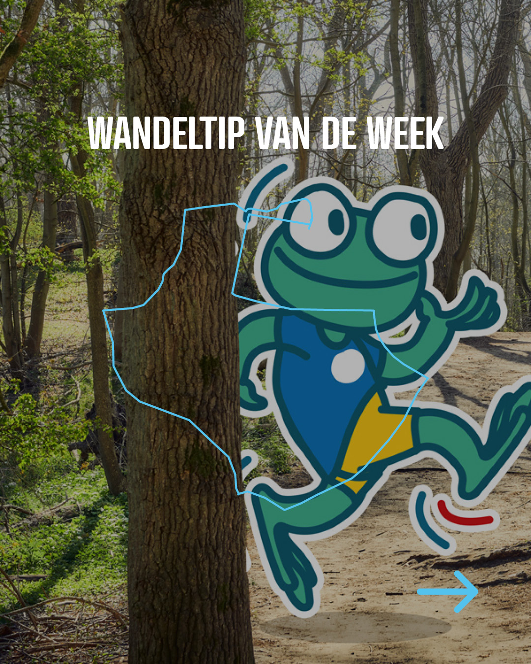 Nieuwe wandeltip van de week! 🥾🌿

Deze keer eentje voor kleine stappers en grote genieters: kidsproof wandelen in De Panne.

Op depanne.be/wandelroutes filter je makkelijk op kidsproof wandelingen. Kies er eentje uit, trek je schoenen aan en gaan!