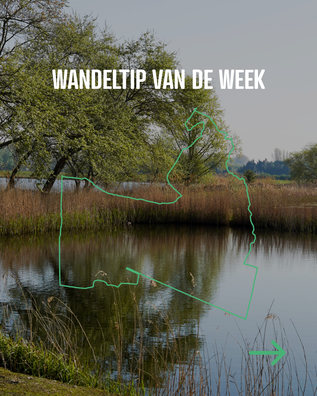 🌿 Water, duinen en bos in één wandeling.
Ontdek De Zwarten Hoek, spot vogels onderweg en geniet van de rust. 🦆