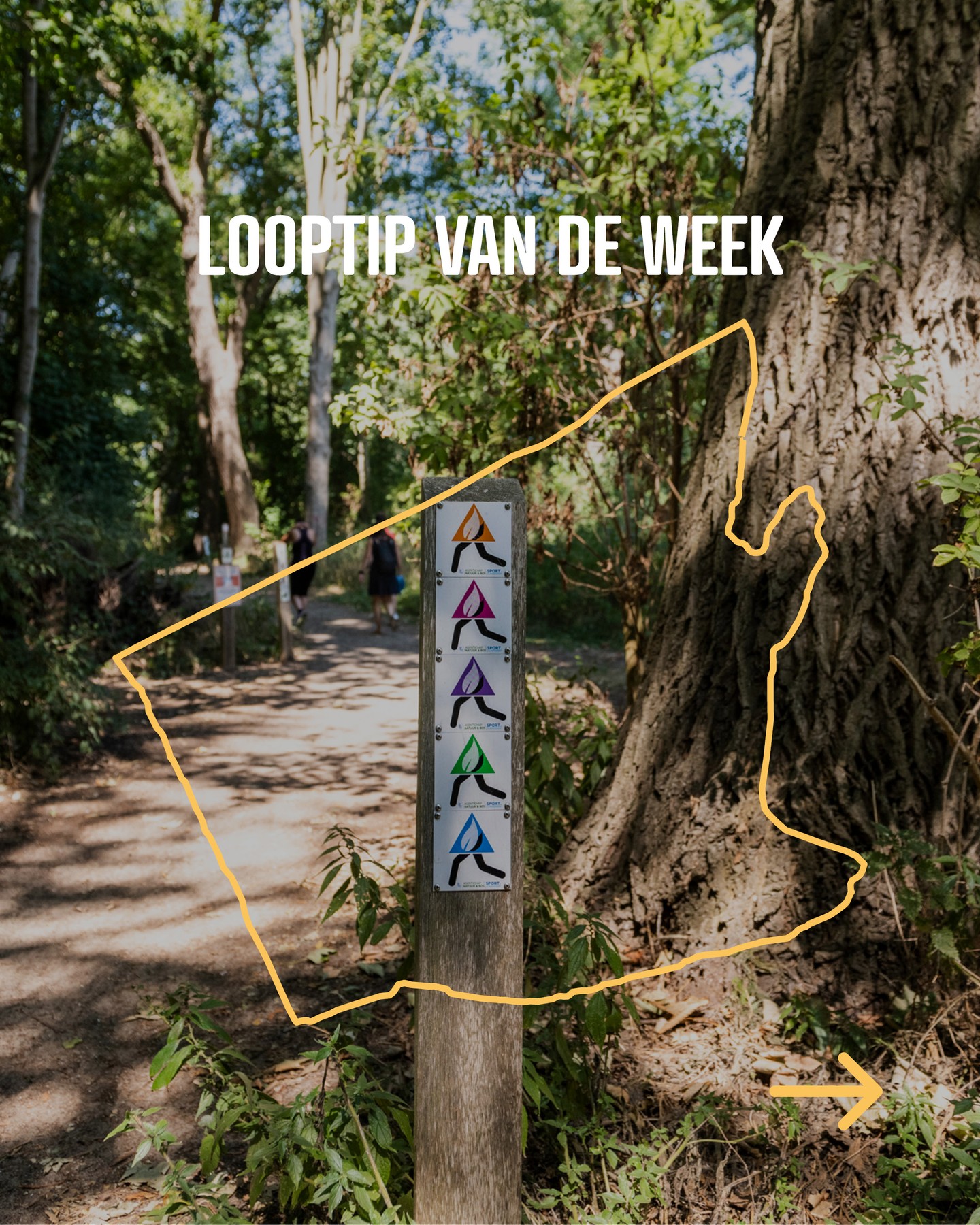 Opnieuw een looptip deze week! 🏃‍♀️
De rode natuurlus is een stevige uitdaging voor sportievelingen, met heel wat los zand onderweg. 🌊 Liever wat rustiger aan? Dan is deze route ook perfect voor een ontspannende wandeling door de natuur.
depanne.be/natuurlus-rood