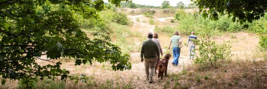 Wandelen in de duinen