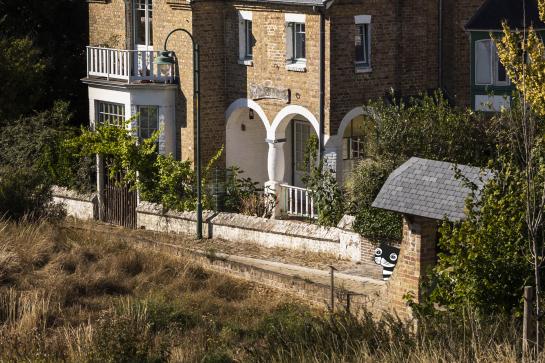 Karel de Kat verstopt zich in de Dumontwijk